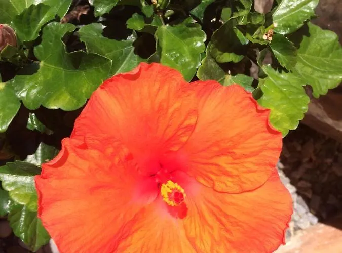 Le Val D'ailleurs 3* Jausiers